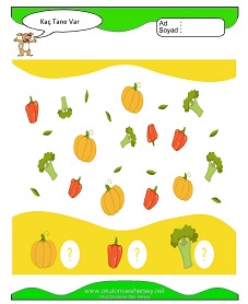 Kaç Tane Var Çalışma Sayfaları